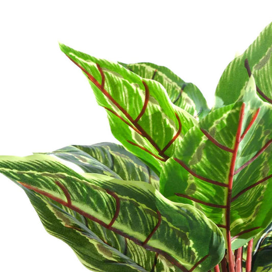 38cm Potted Artificial Calathea Veitchiane – image 2