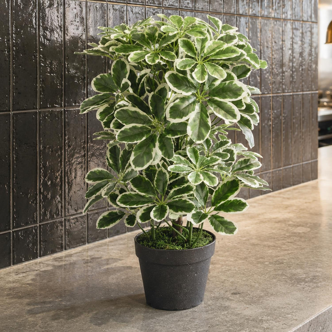 Wholesale Artificial Plants — Leaf Design Wholesale