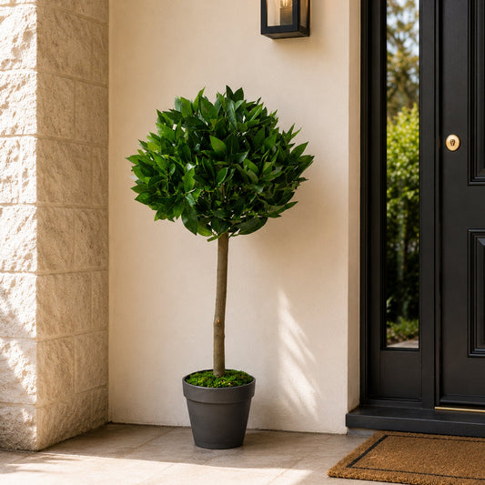 How to Choose an Artificial Plant Wholesaler in the UK