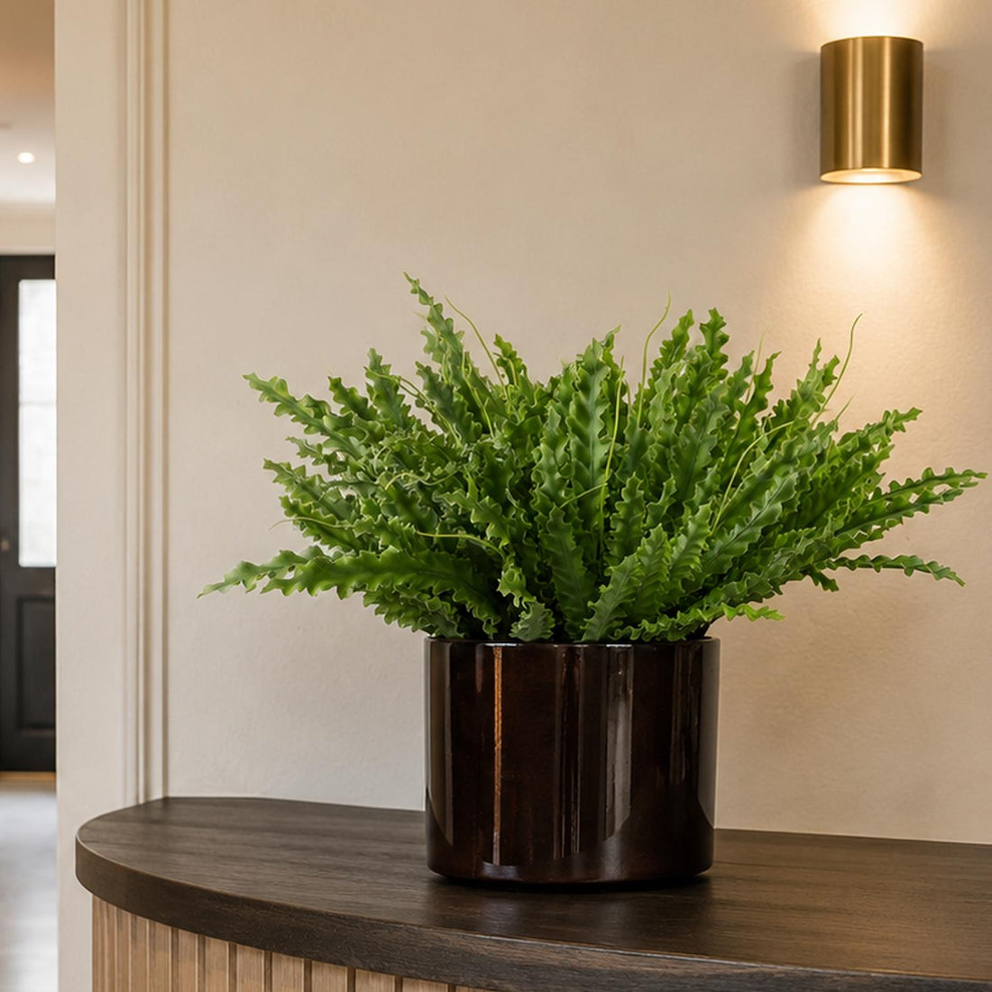 Wholesale vs Retail Artificial Plants: What Trade Buyers Need to Know