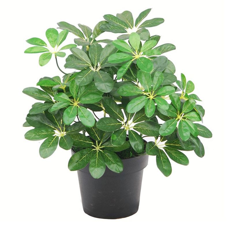 55cm Dark Green Artificial Arboricola Plant — wholesale artificial plants