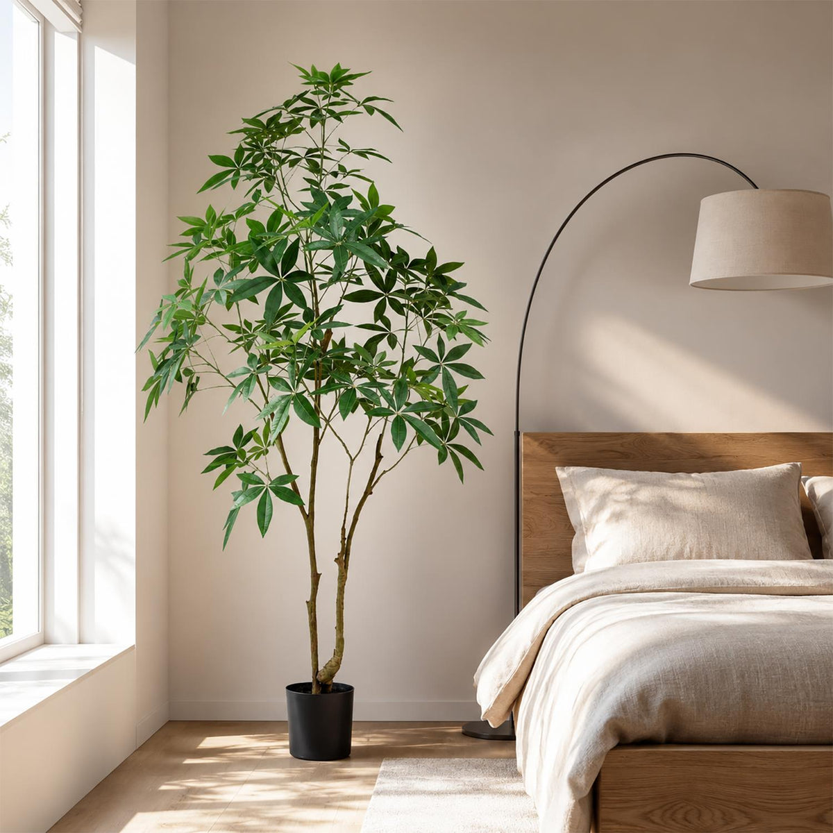 Extra Large Trees — wholesale