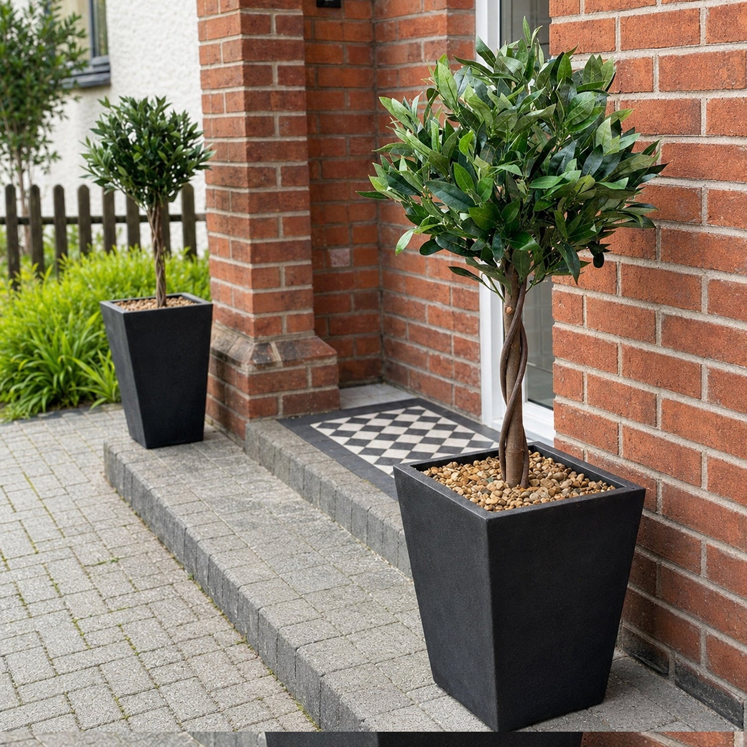 Topiary Trees — wholesale