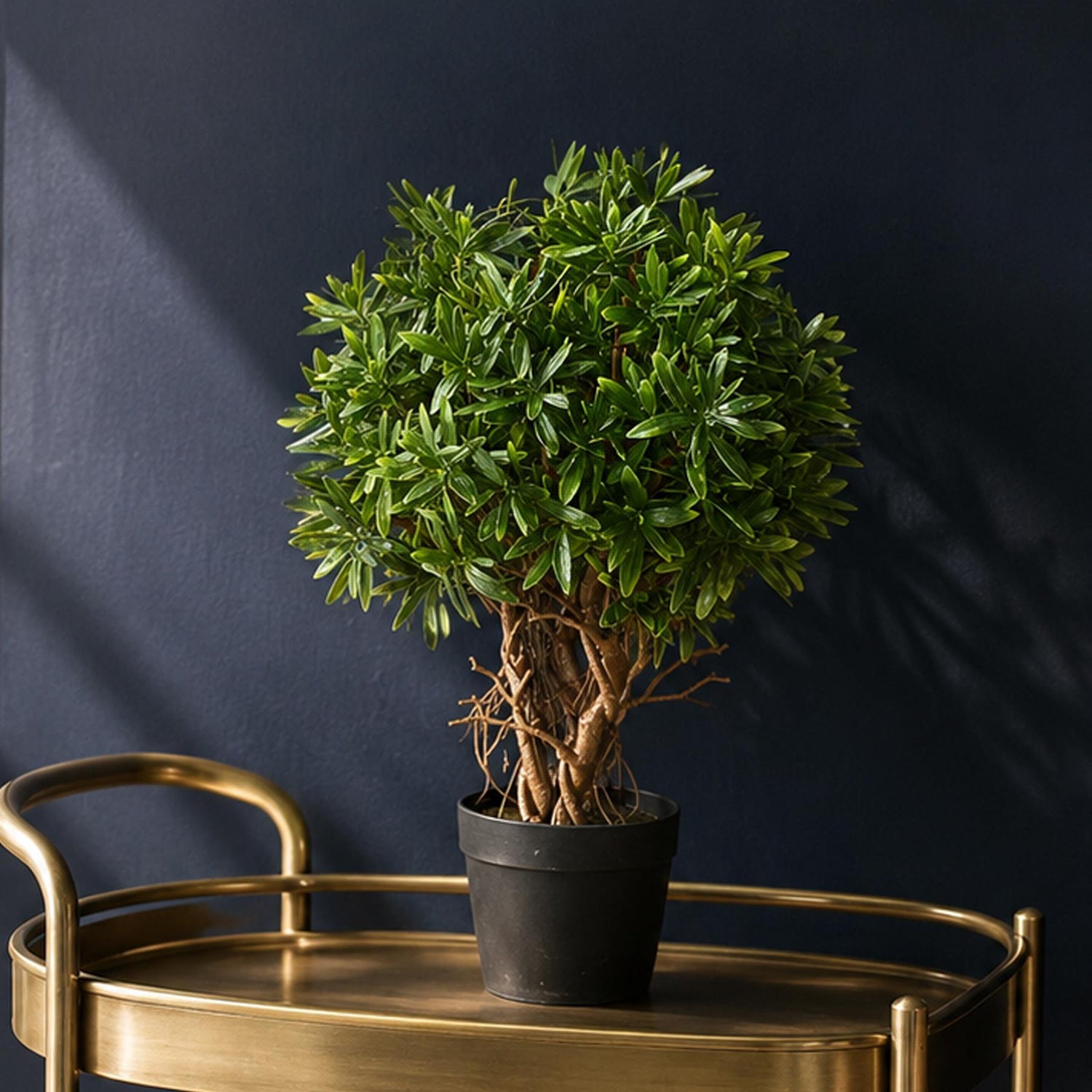 Fire Resistant Plants — wholesale