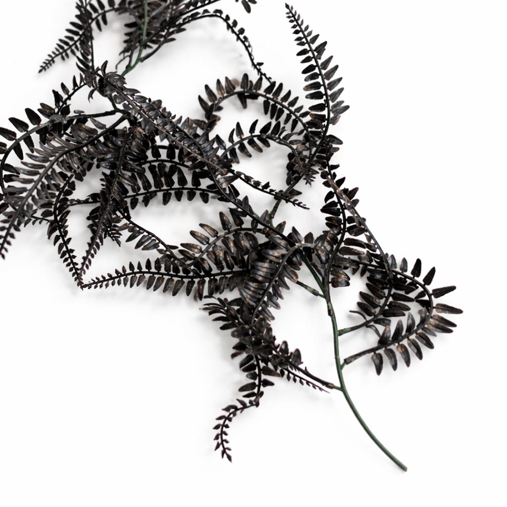 Hanging — Unpotted