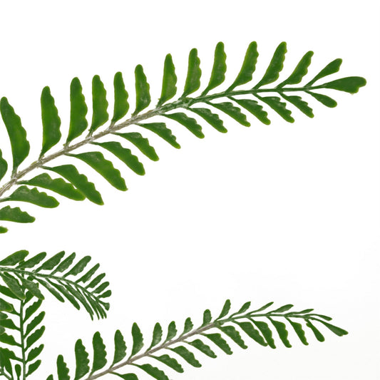 55cm Artificial Himilayan Maidenhair Fern Bush Dark Green Plant – image 2