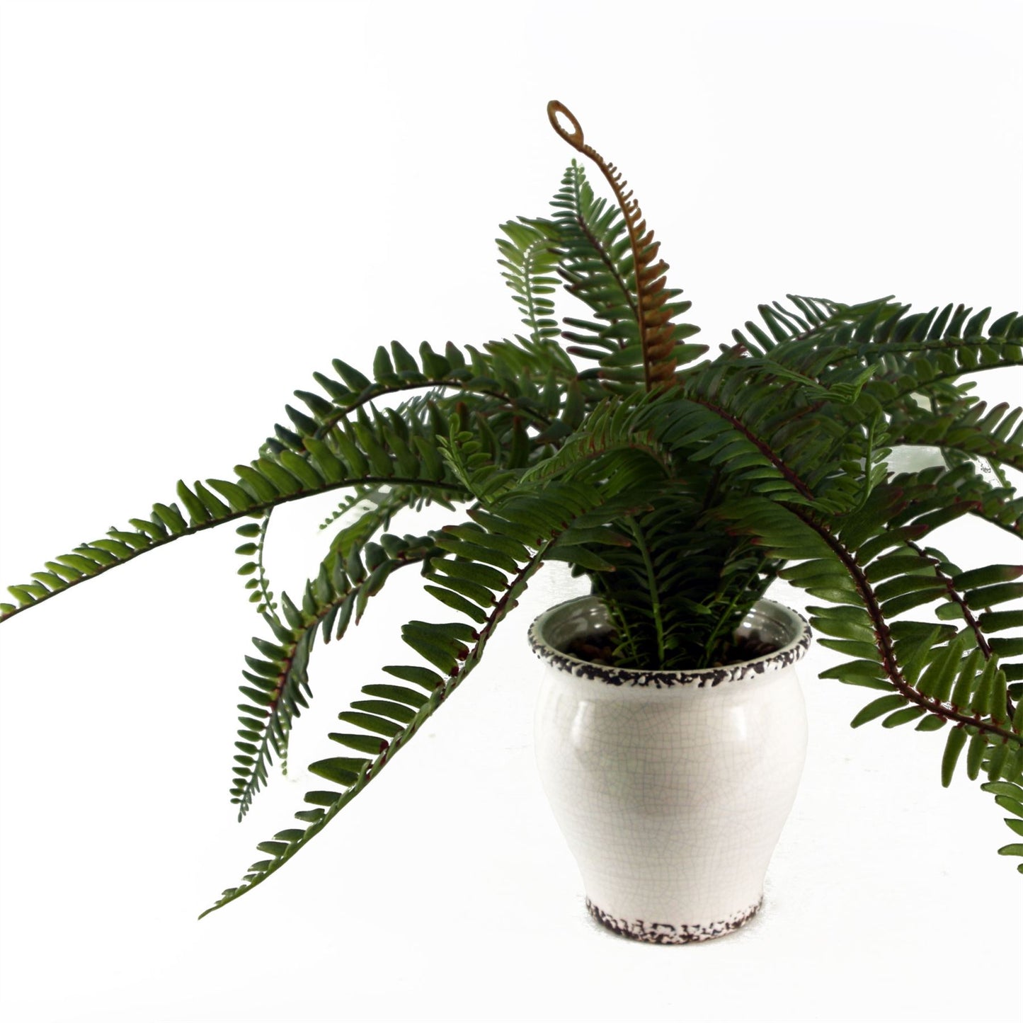 40cm Artificial Fern Bush in Decorative Planter – image 4