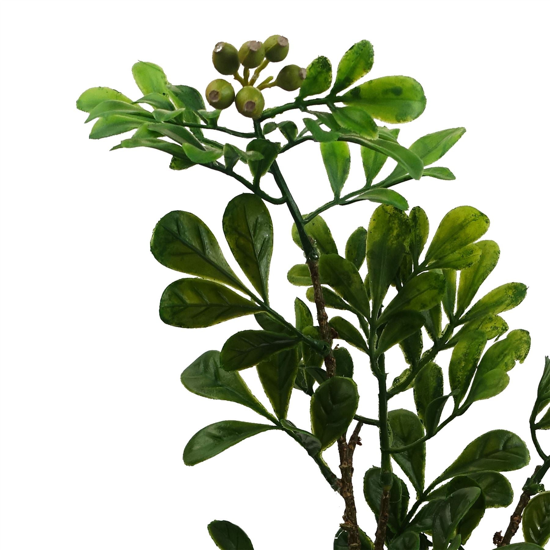 45cm Artificial Aglaia Odorata Bonsai Ficus Tree – image 6