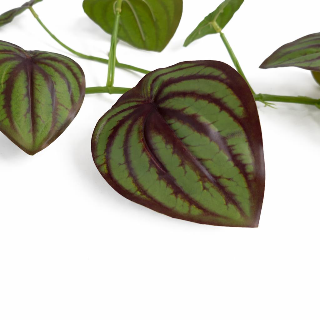 160cm Artificial Watermelon Peperomia Leaf Garland Hanging Decoration – image 3