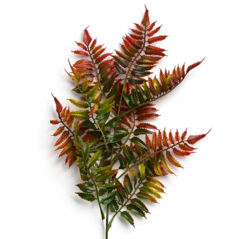 50cm Artificial Fern Spray Stem Autumn Orange – image 5