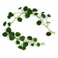 160cm Artificial Round Pilea Leaf Garland Hanging Decoration