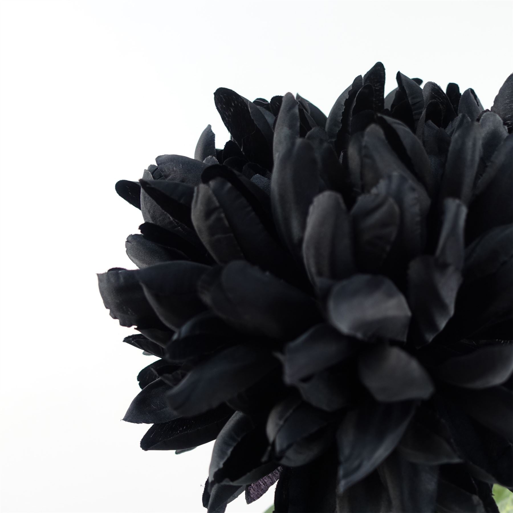 75cm Artificial Extra Large Reflex Chrysanthemum Black – image 2