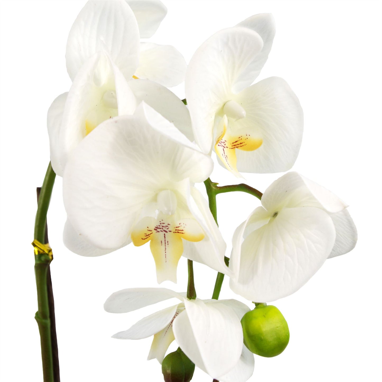 46cm Artificial Orchid White Gold – image 3