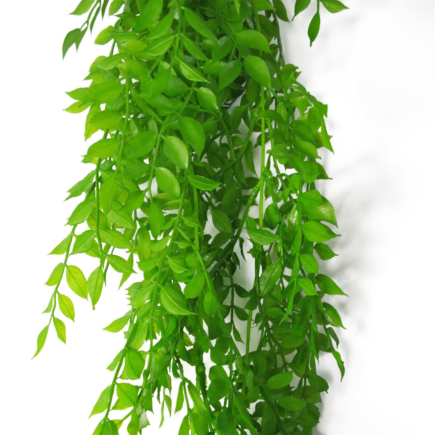 100cm Artificial Hanging String of Pearls Fern Plant Light Green – image 3