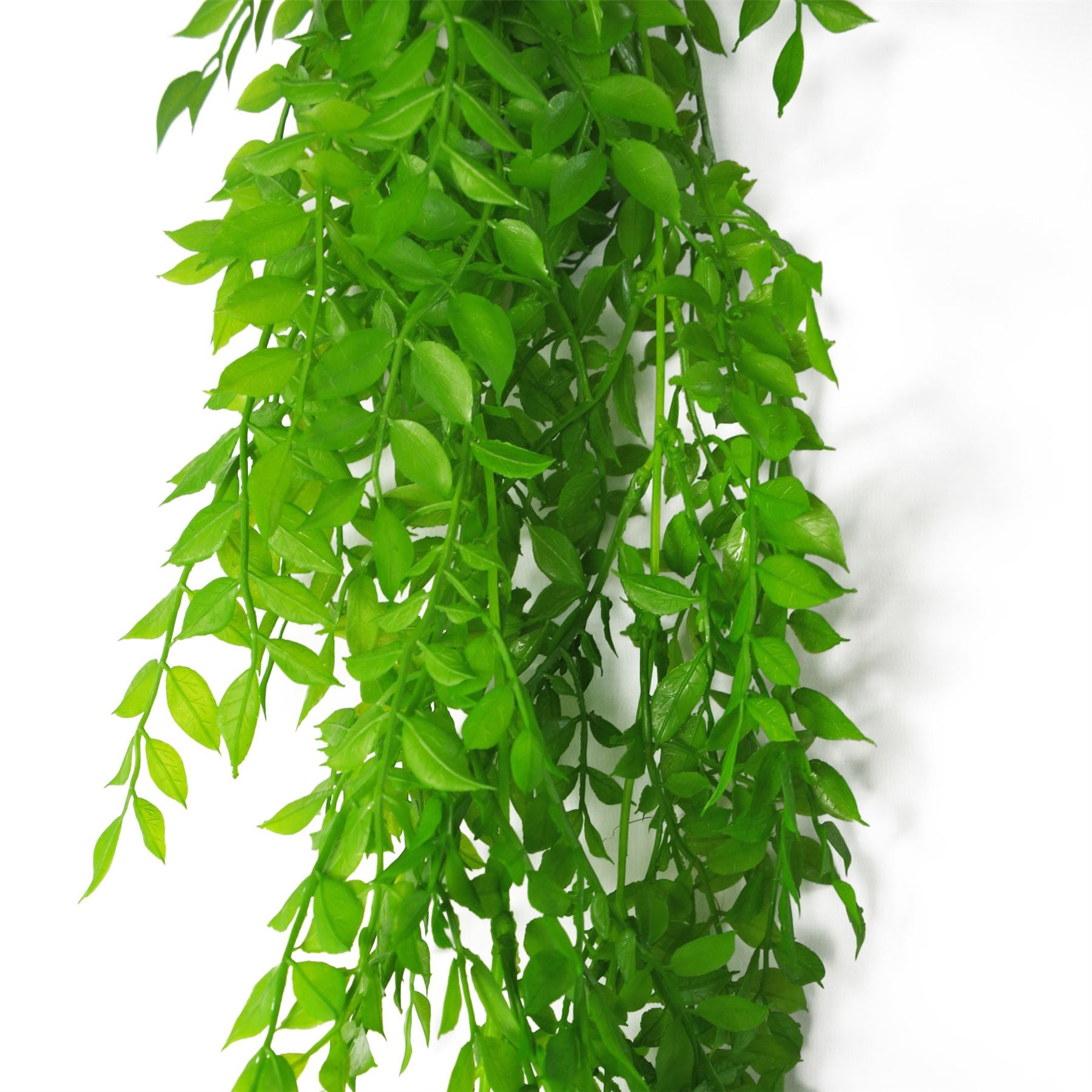 100cm Artificial Hanging String of Pearls Fern Plant Light Green – image 3