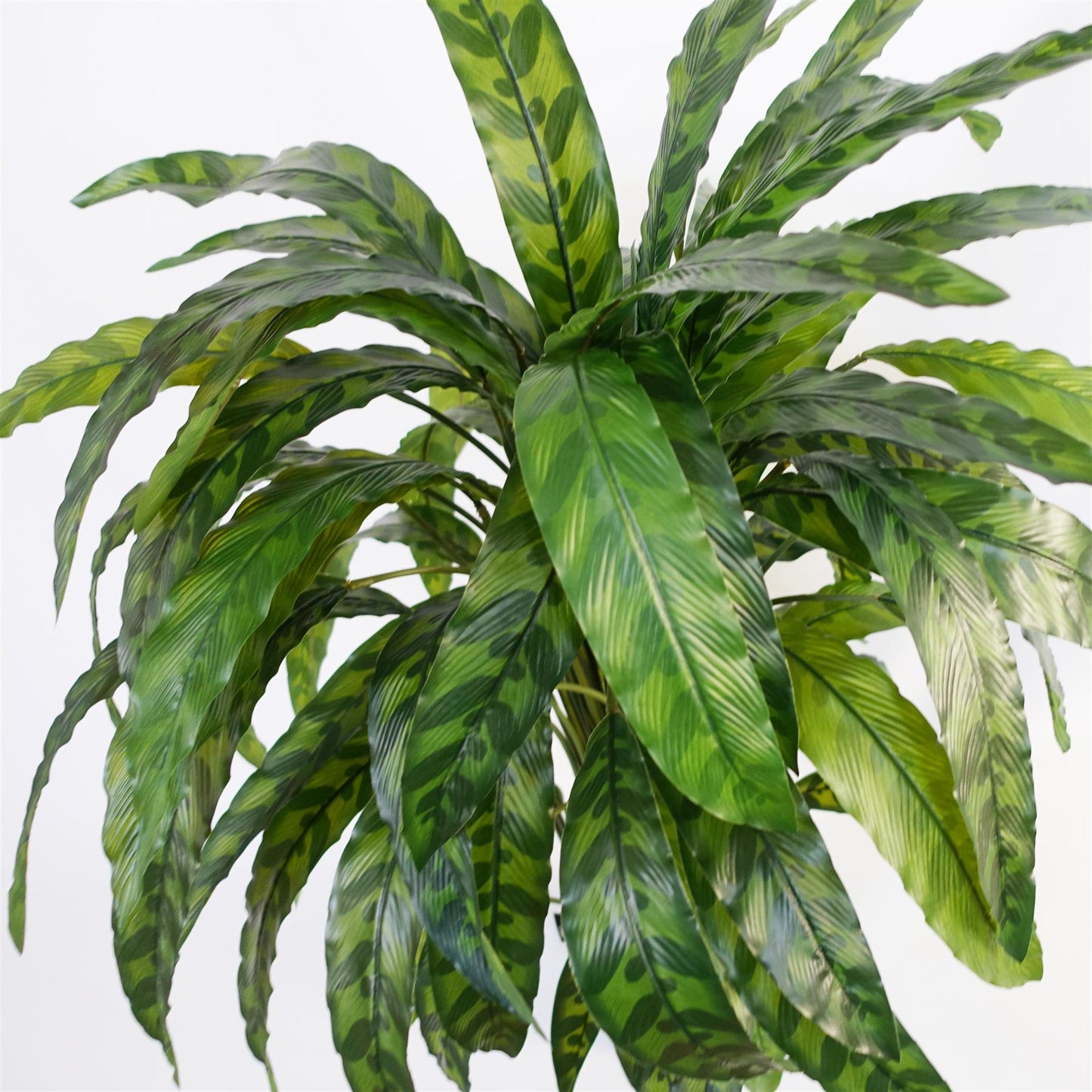 90cm Variegated Artificial Calathea Plant – image 5