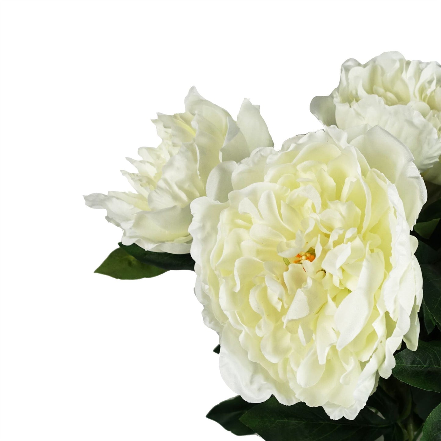 80cm Artificial Cream Peony Stem – image 3