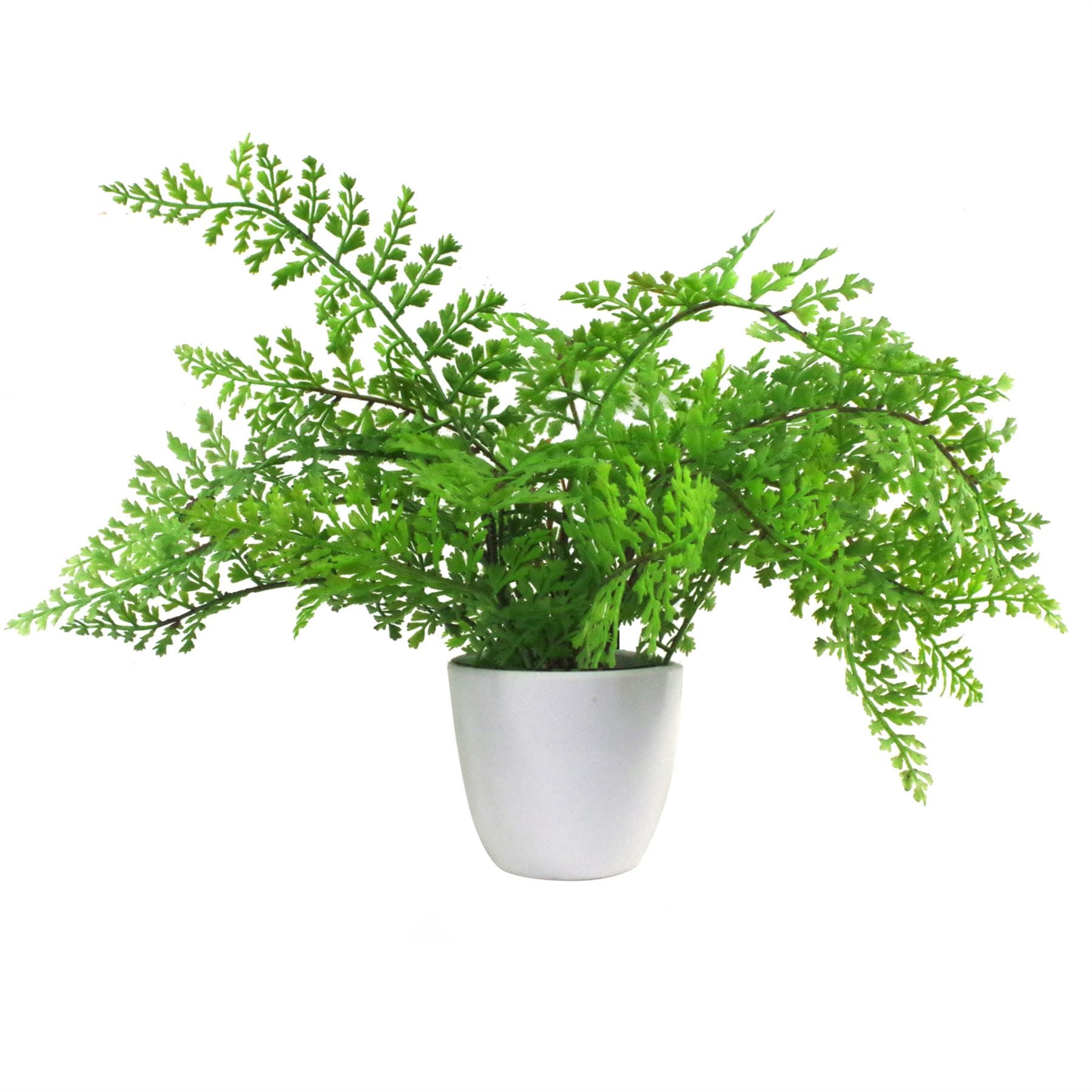 Faux 30cm Artificial Potted Royal Fern – image 2