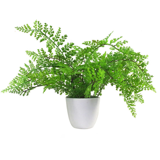 Faux 30cm Artificial Potted Royal Fern – image 2
