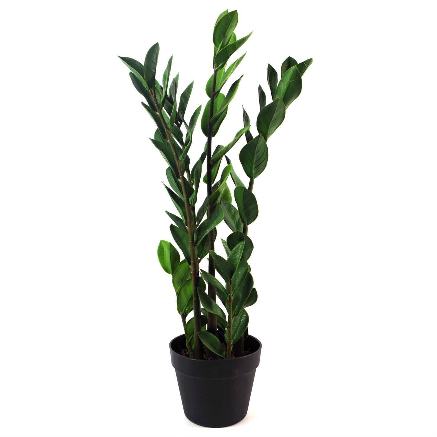 75cm Artificial Zanzibar Green Gem Zamioculcas Succulent Indoor Plant – image 2