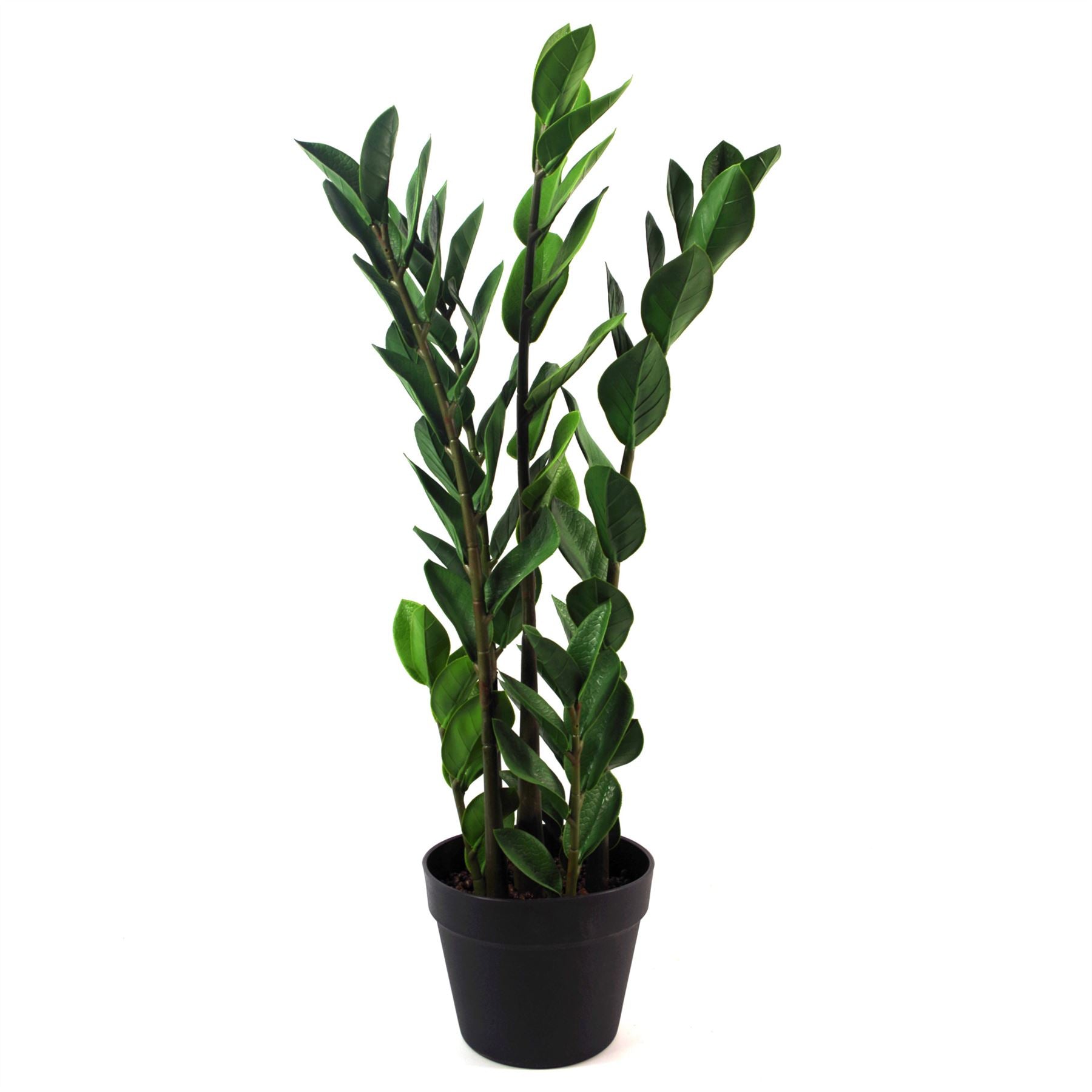 75cm Artificial Zanzibar Green Gem Zamioculcas Succulent Indoor Plant – image 2