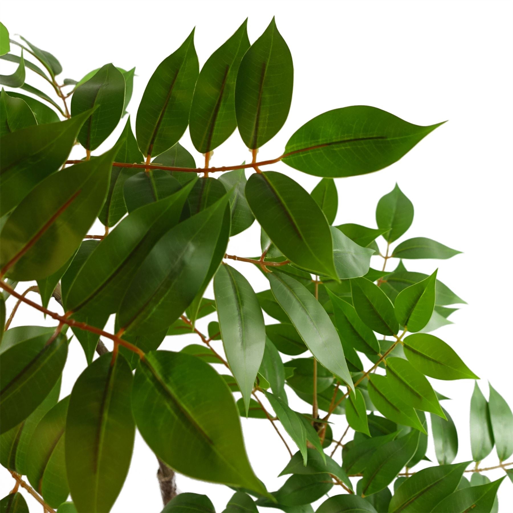 65cm Artificial Toona Sinensis Plant Evergreen – image 6