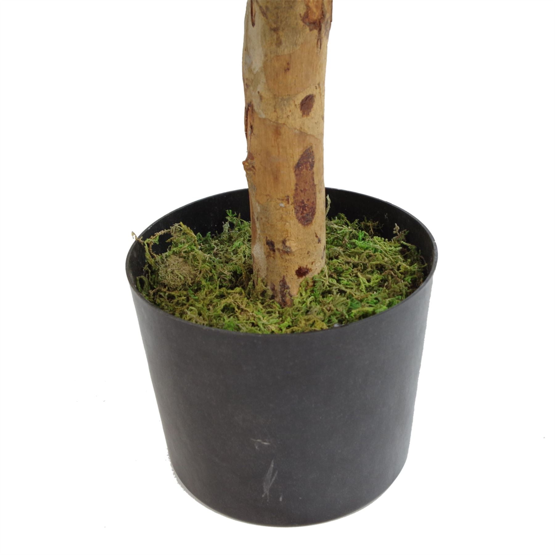 Artificial 100cm Dracaena Plant Tree with Pot Premium Range – image 4