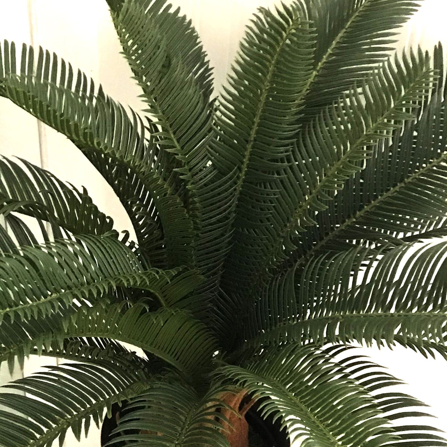 70cm Artificial Tropical Cycas Palm Plant – image 3