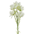60cm Artificial White Starflower Stem 5 Flowers