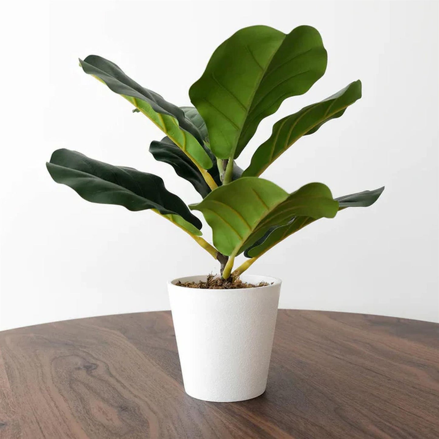 38cm Potted Artificial Fiddle Fig Plant – image 4