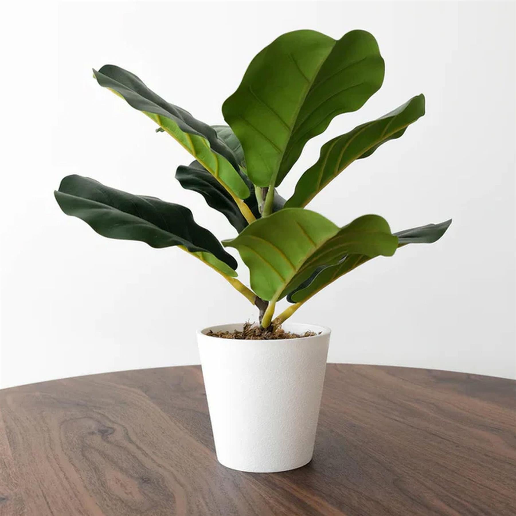 38cm Potted Artificial Fiddle Fig Plant – image 4