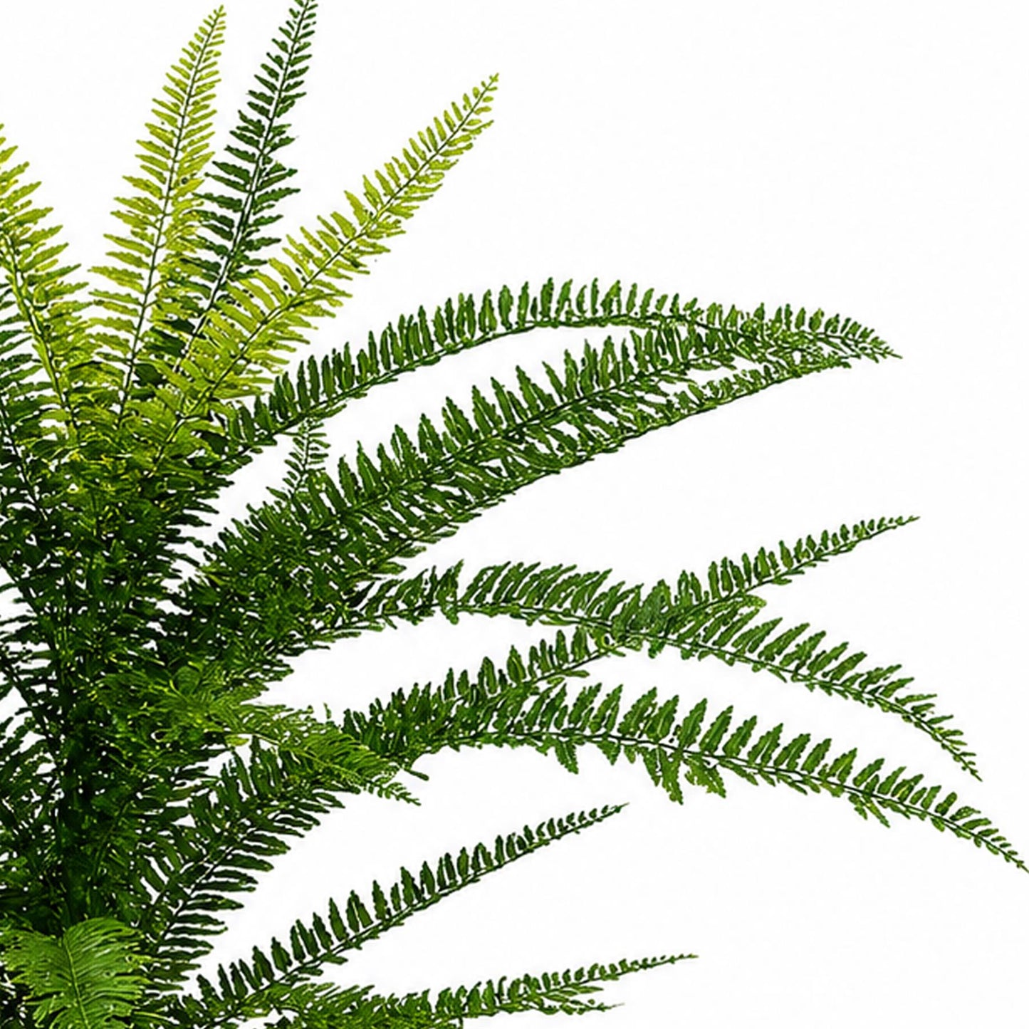 75cm Artificial Fire Retardant Plastic Boston Fern Plant – image 3