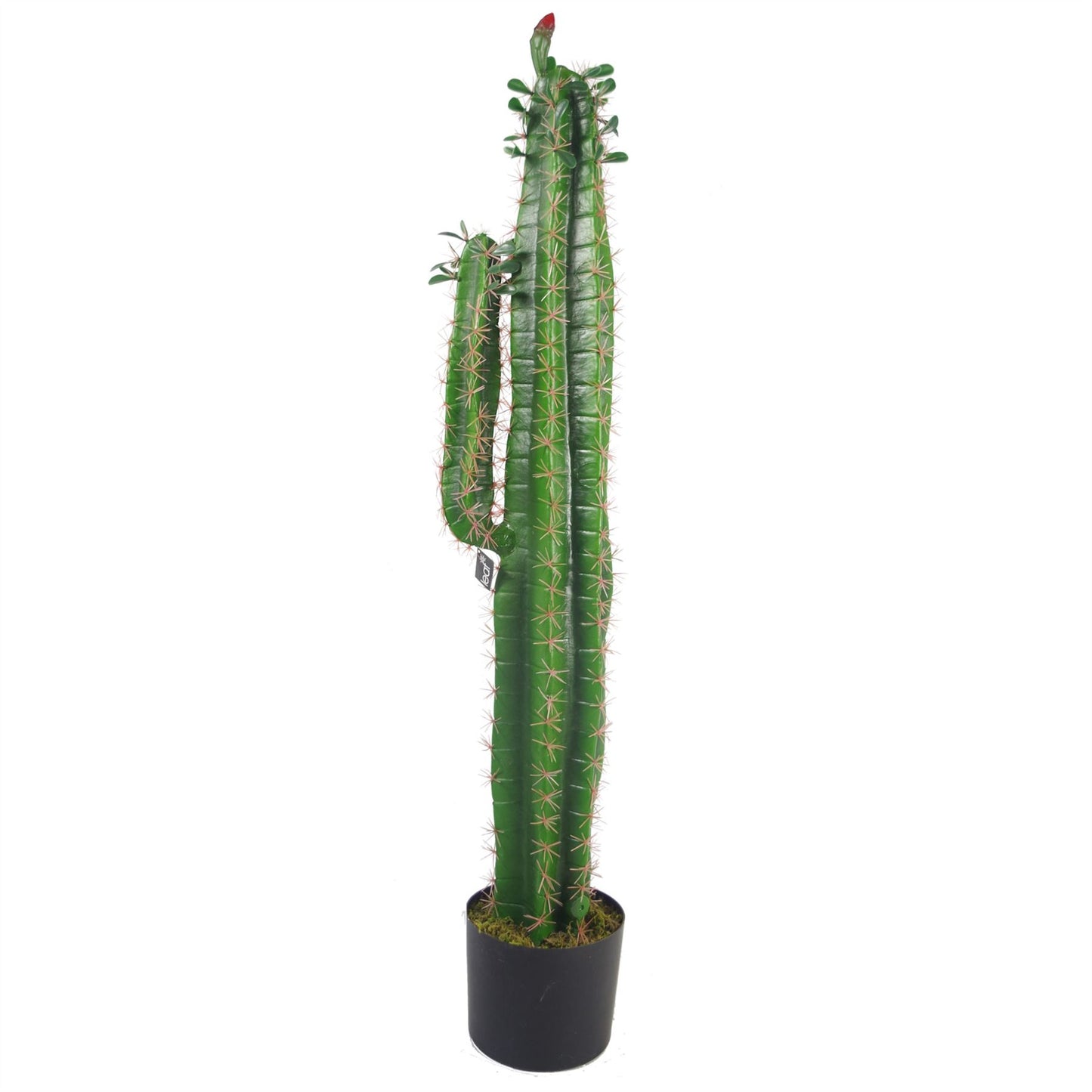 Artificial 100cm Premium Cactus with pot – image 3