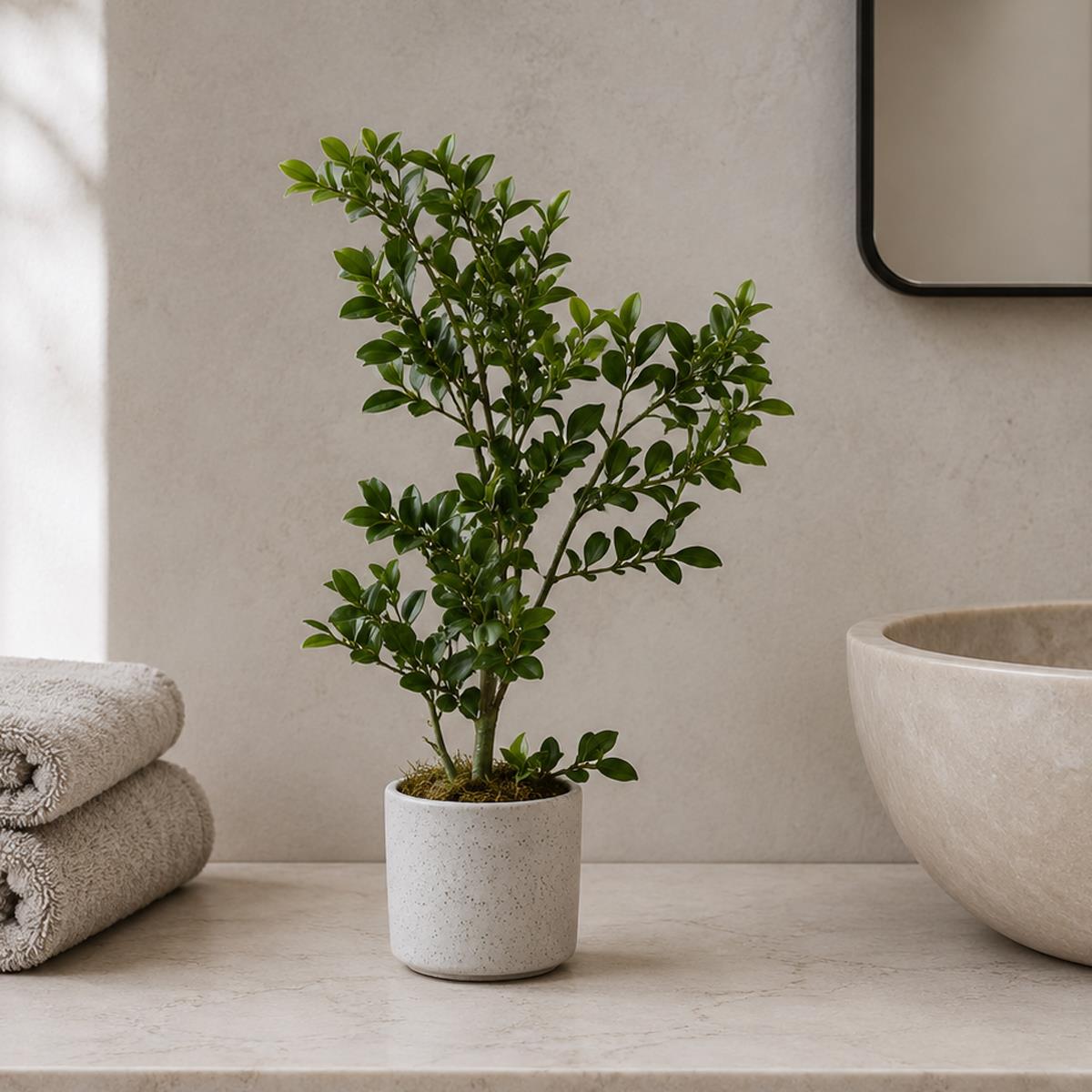 45cm Artificial Aglaia Odorata Bonsai Ficus Tree – image 4
