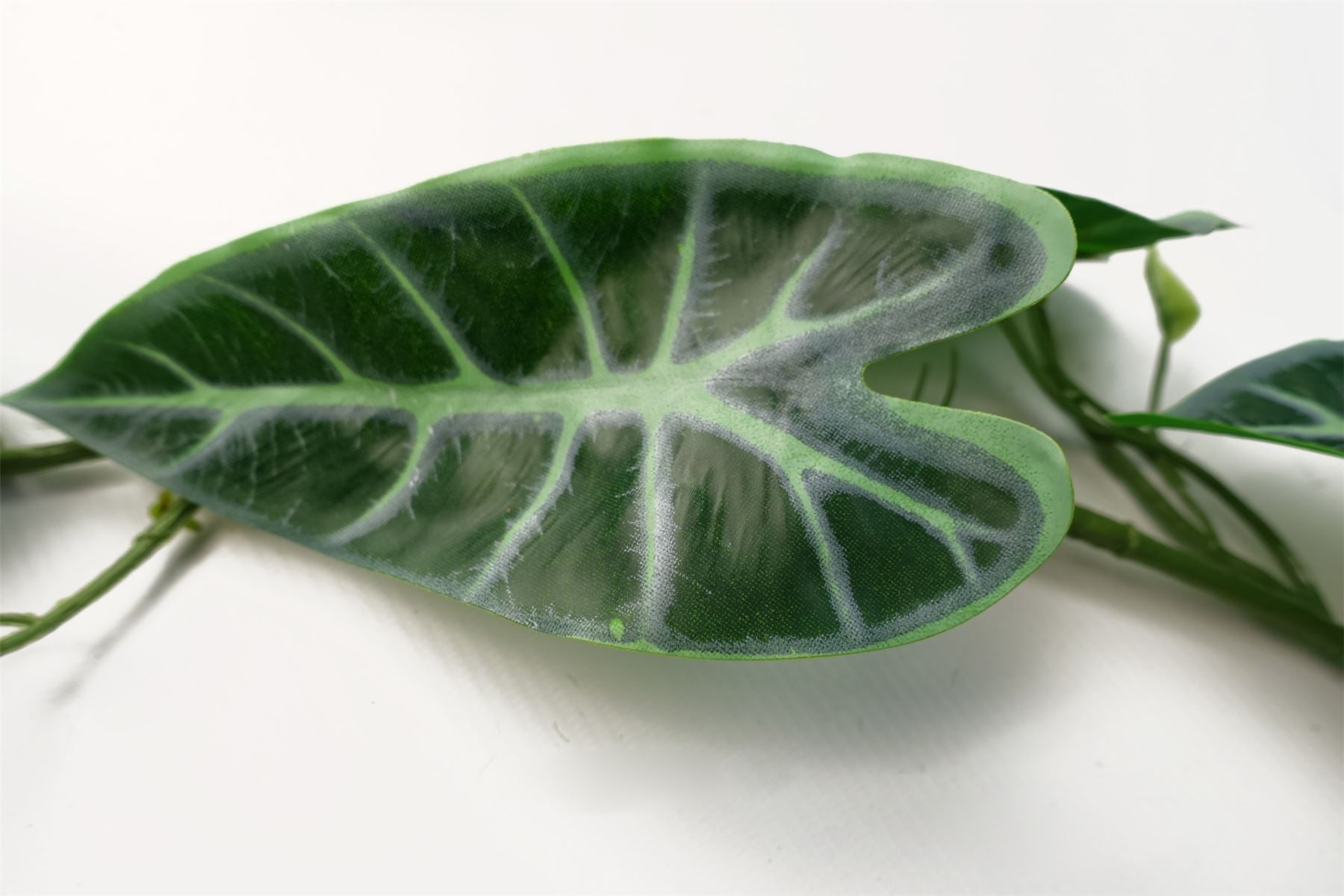 180cm Artificial Hanging Trailing Amazonica Plant – image 3