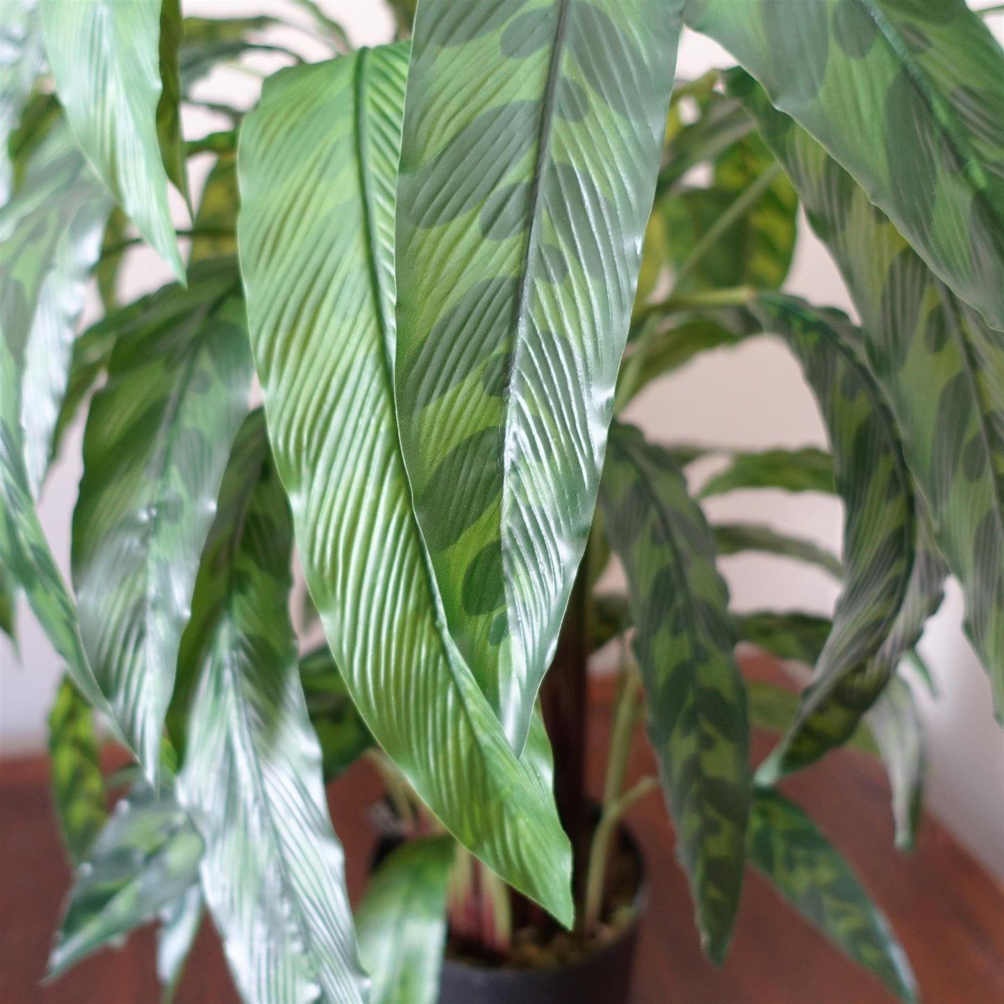 90cm Variegated Artificial Calathea Plant – image 3