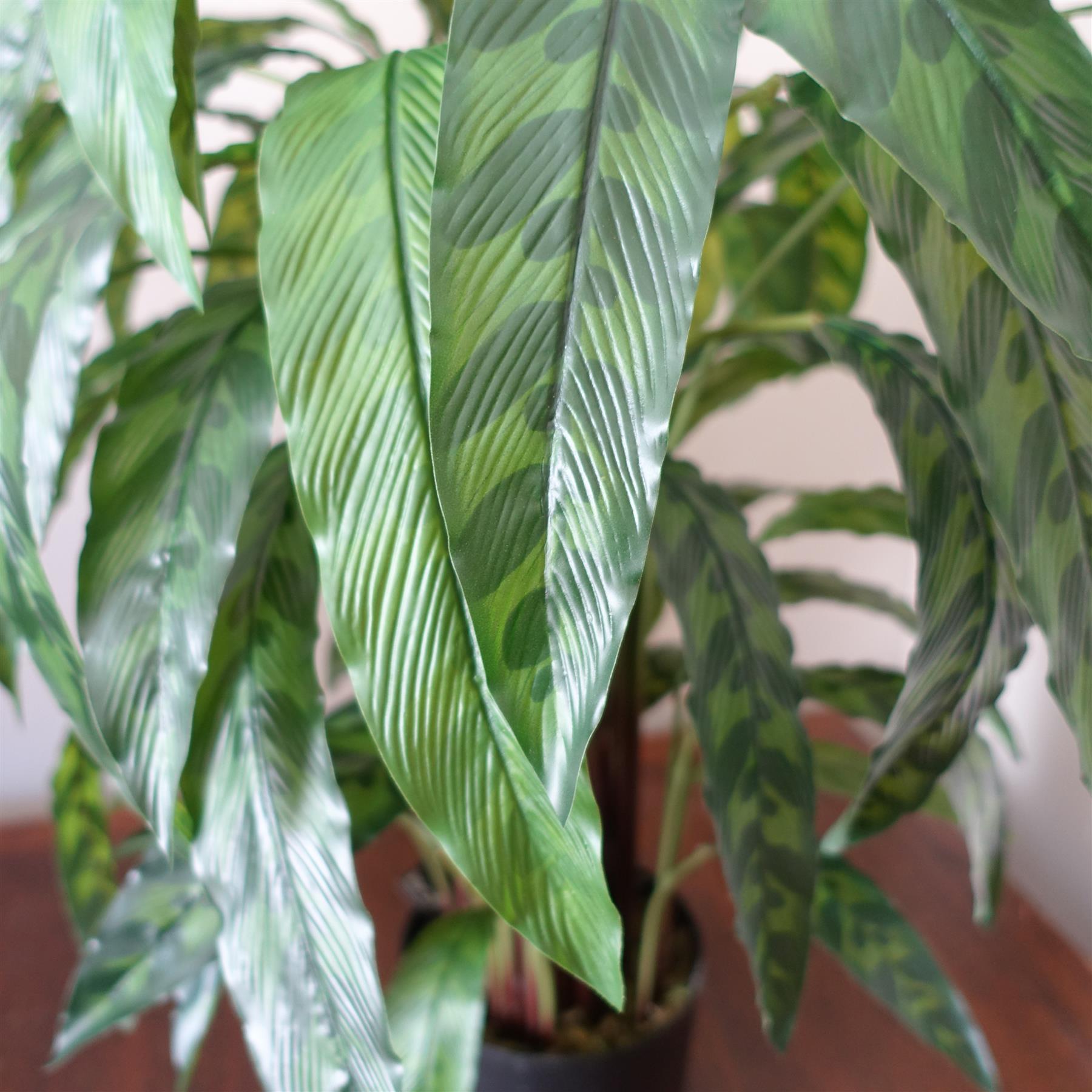 90cm Variegated Artificial Calathea Plant – image 3