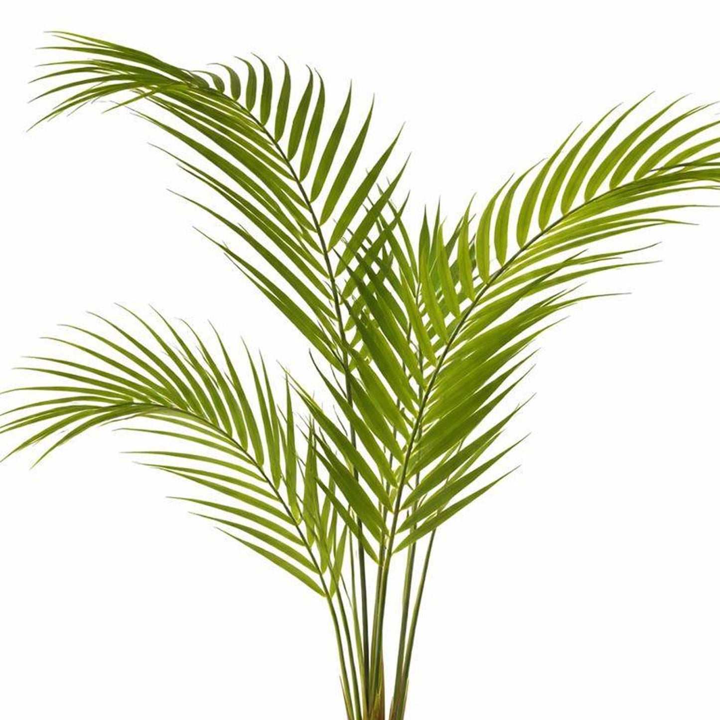 70cm Artificial Areca Palm Tree – image 4