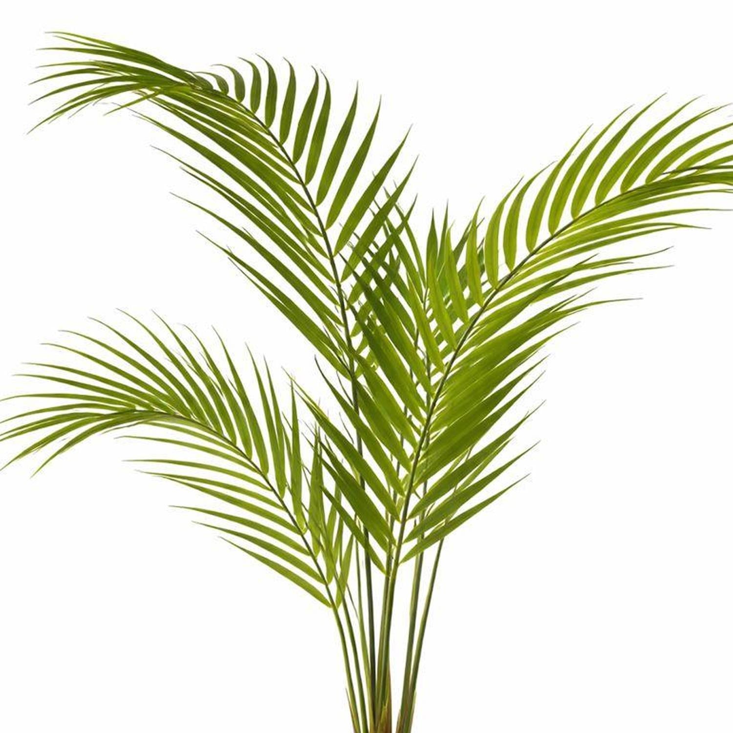 70cm Artificial Areca Palm Tree – image 4