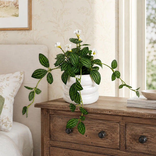 45cm Artificial Trailing Striped Leaf Plant with White Flowers in White Pot