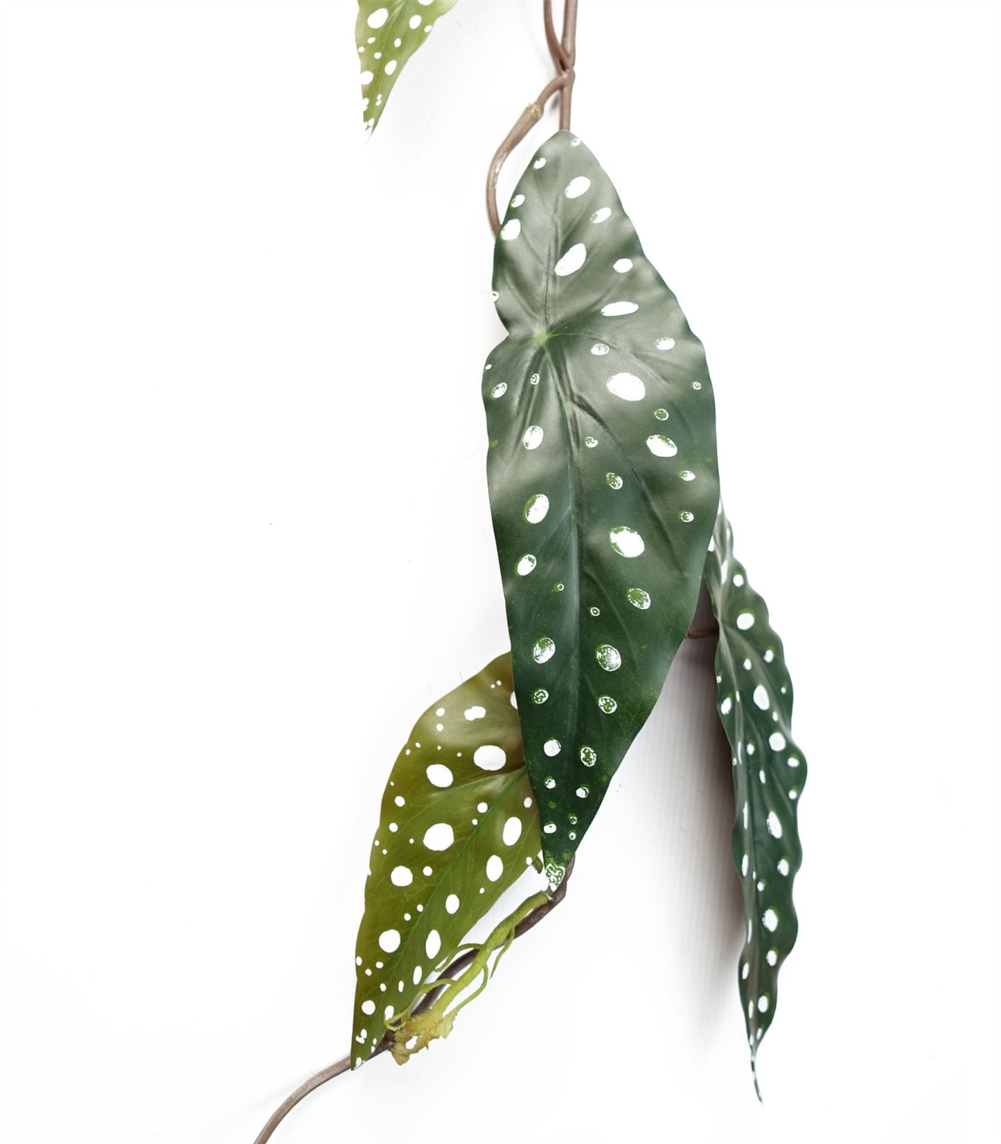 110cm Artificial Hanging Trailing Begonia Maculata Spotted Plant – image 2