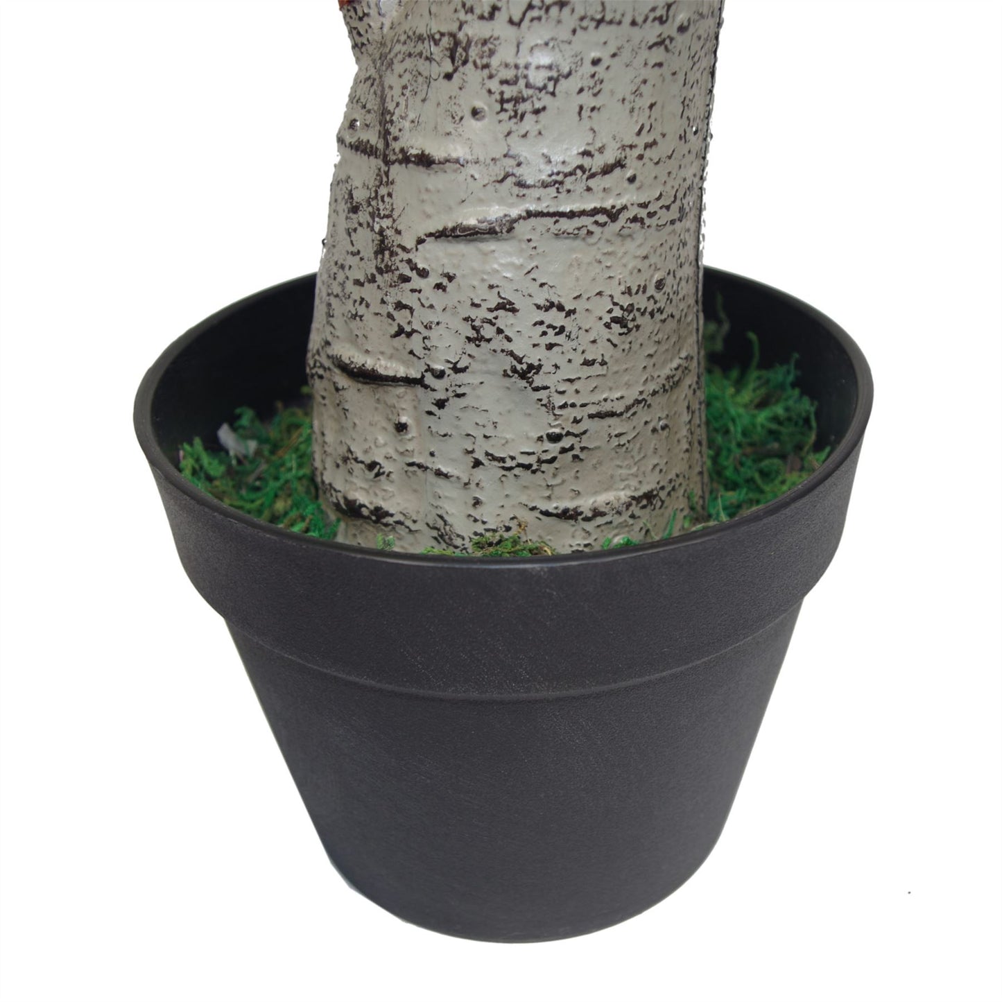 75cm Artificial Dracaena Plant Wide Trunk Triple Branch – image 4