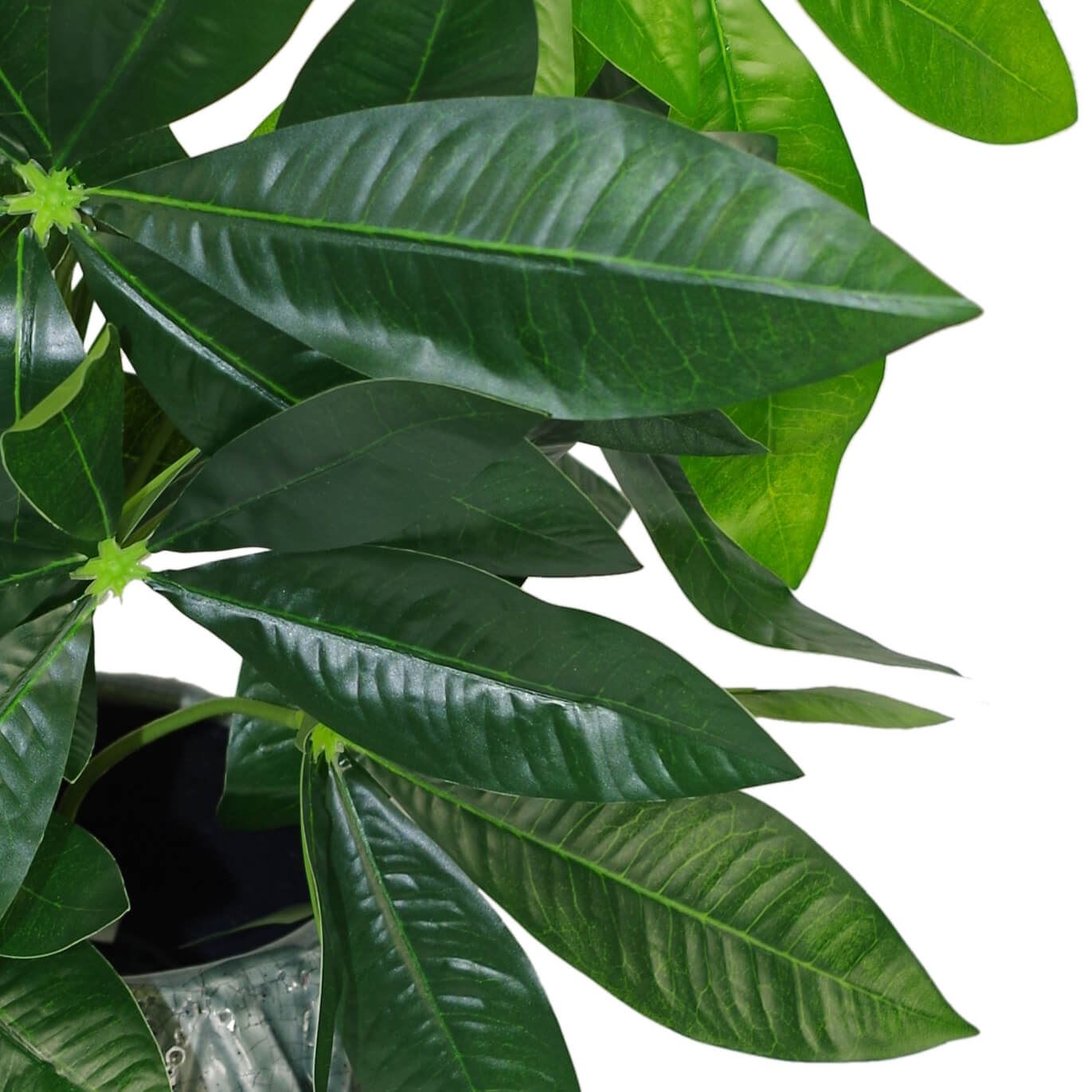 50cm Artificial Money Tree Plant Pachira – image 4