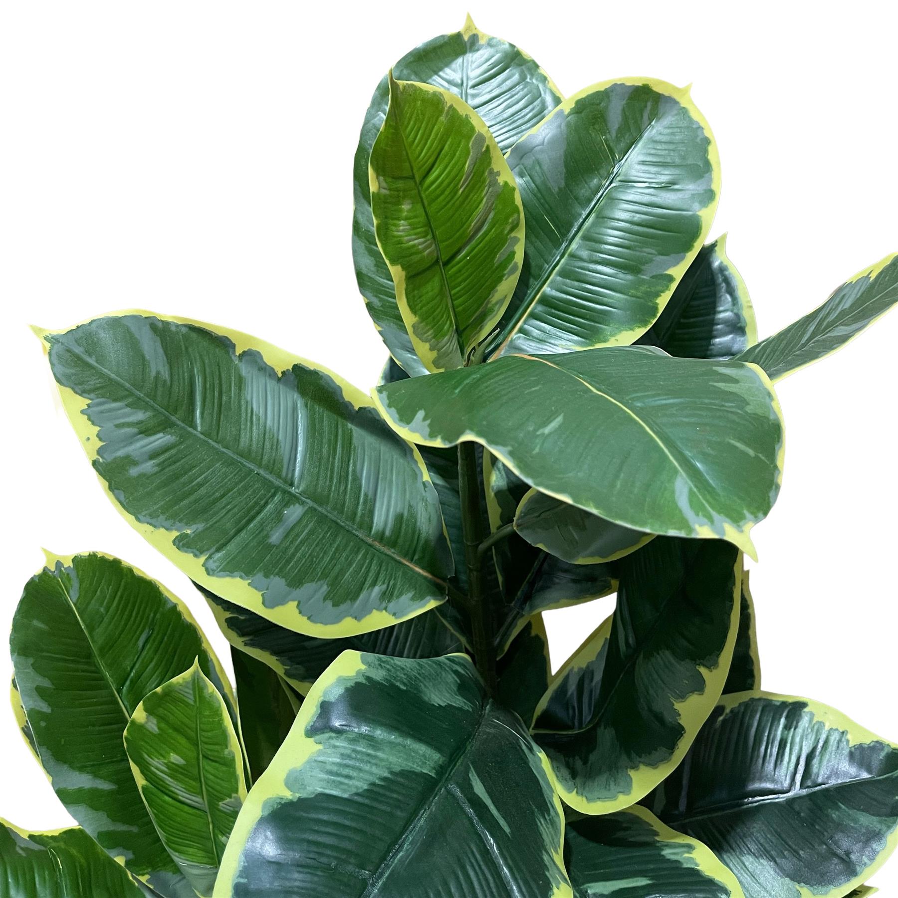 120cm Artificial Rubber Tree – image 3