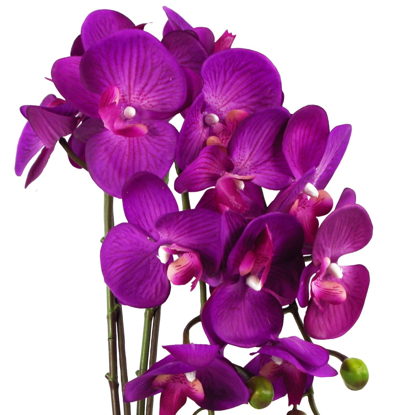 52cm Artificial Orchid Large Purple Gold – image 2