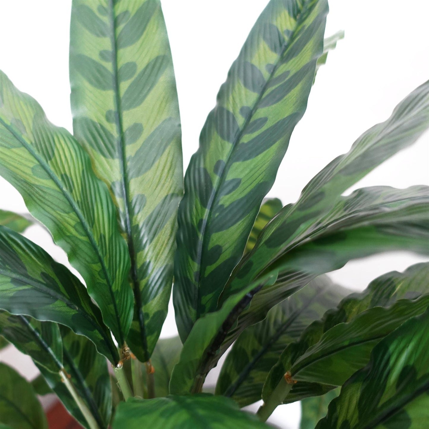 60cm Variegated Artificial Calathea Plant – image 4