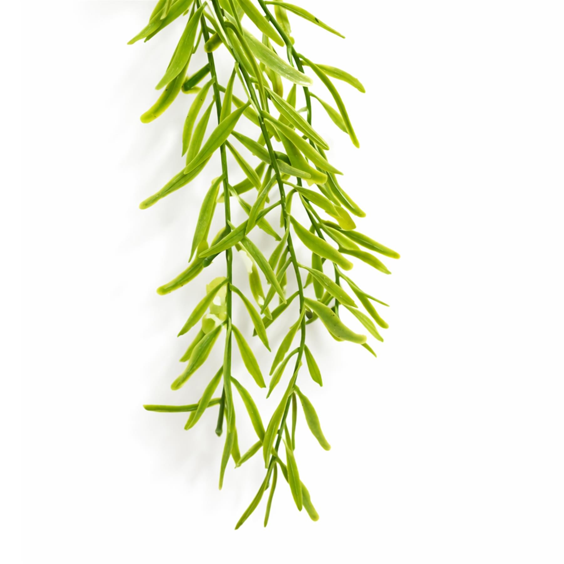 100cm Artificial Trailing Rhipsalis Hanging Plant Light Green Tips – image 3