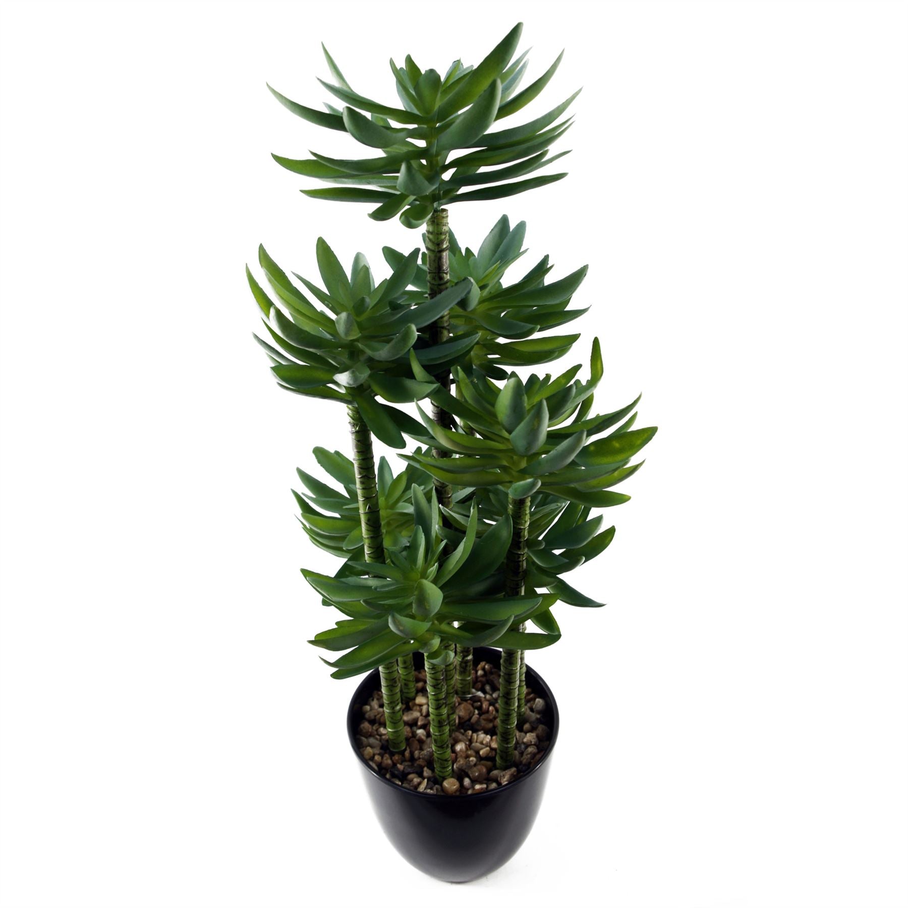 60cm Artificial Tropical Yukka in Planter – image 6