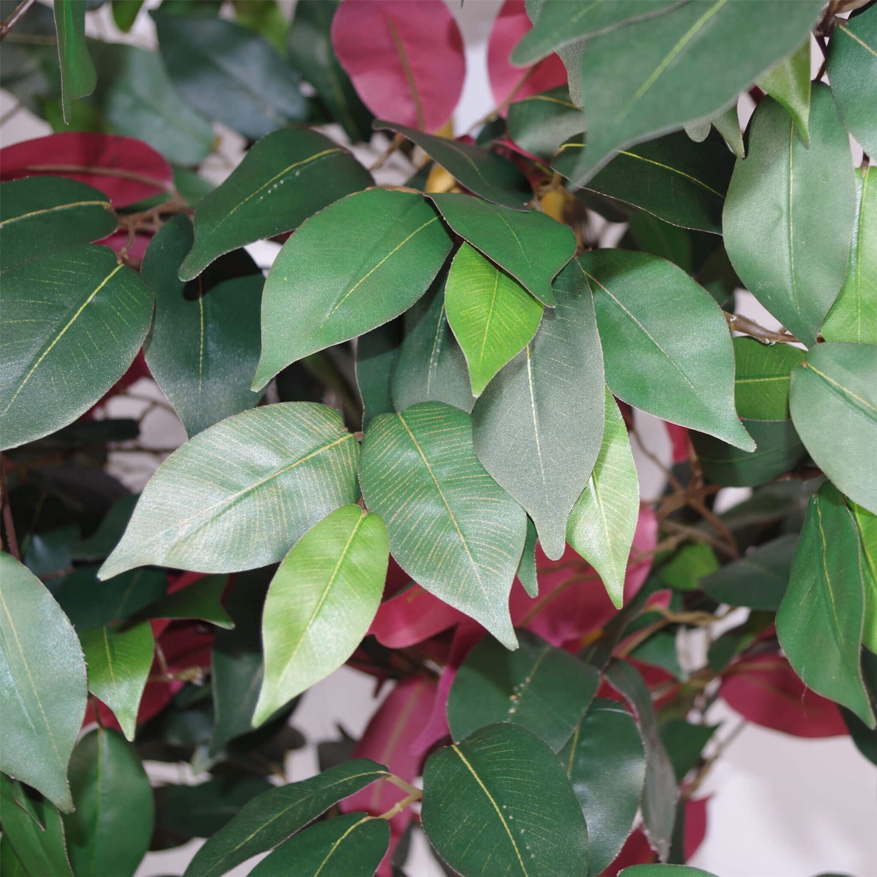 120cm Artificial Capensia Tree Ficus Plant Extra Large – image 4