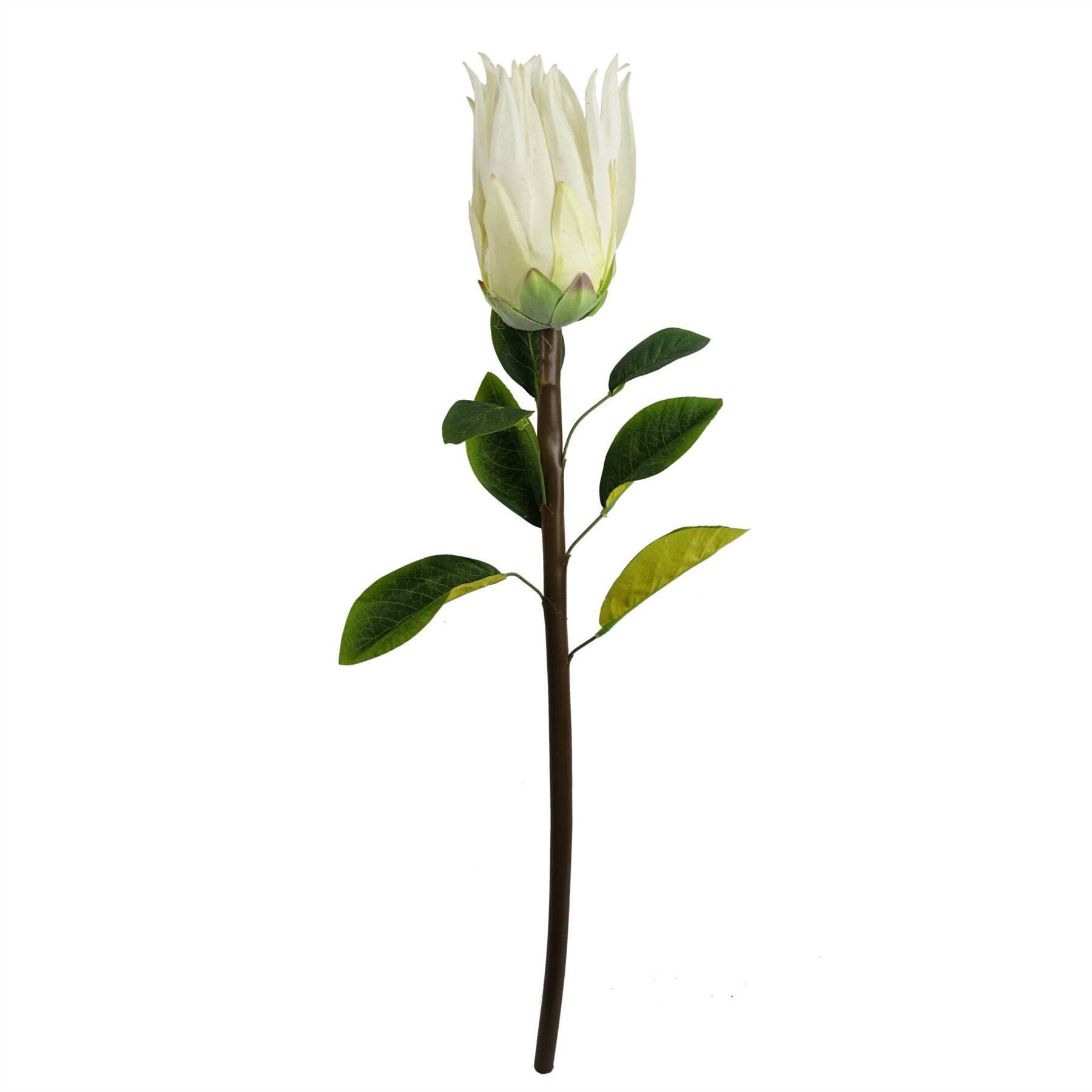 65cm Artificial Protea Sugarbush Flower Stem White – image 2